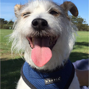 Meet your Posher, Lesley